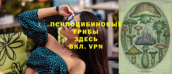 ГАЛЛЮЦИНОГЕННЫЕ ГРИБЫ Нягань