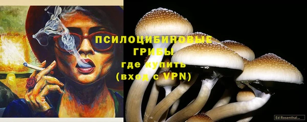 ПСИЛОЦИБИНОВЫЕ ГРИБЫ Нязепетровск