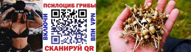 Псилоцибиновые грибы мухоморы  Бирюсинск 